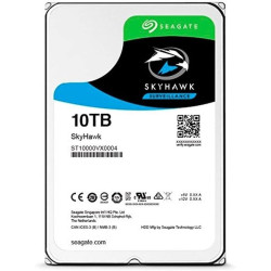 HDD 10 TB Seagate 7200 RPM Surveillance 3.5" 256 MB